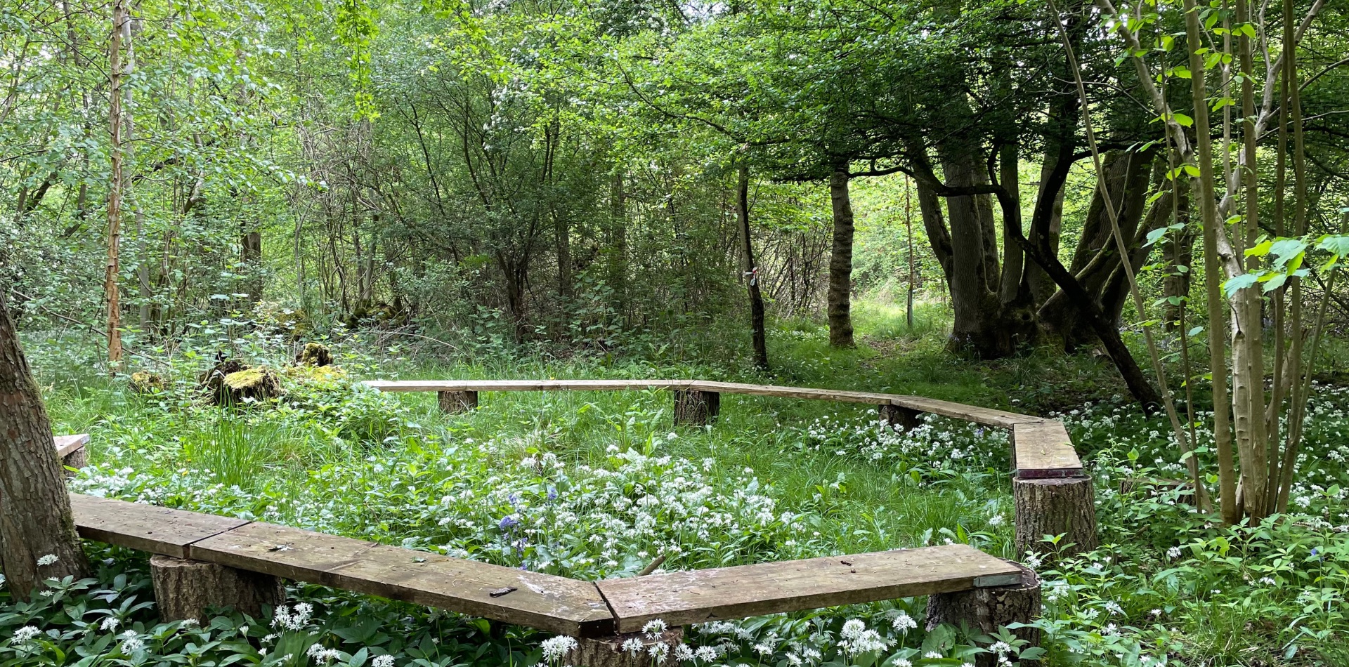 woodland seating benches