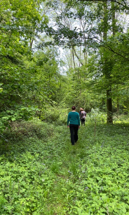 people walking in woodland